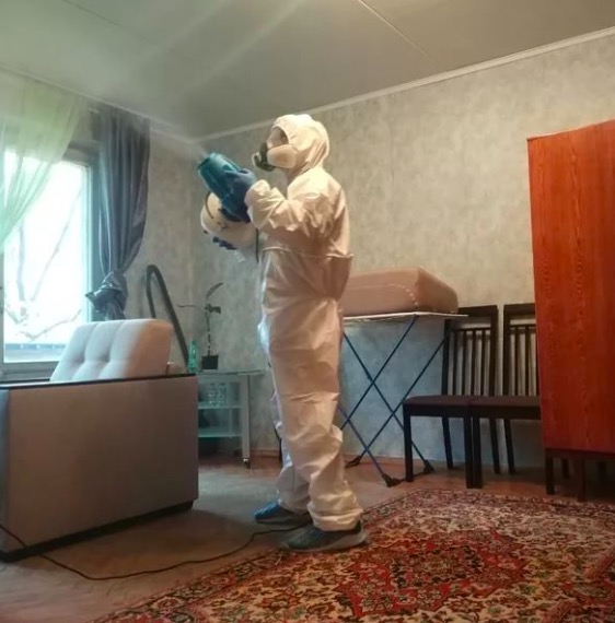 дезинсекция квартиры в Мирном